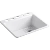 Riverby 25" Undermount Single Basin Cast Iron Kitchen Sink