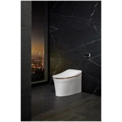 Eir 0.8 / 1.0 GPF Dual Flush One Piece Elongated Chair Height Toilet With Actuator Plate Flush - Bidet Seat Included -Bathroom Sales Store kohler k 77795 alternate view 528