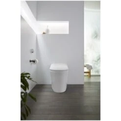 Eir 0.8 / 1.0 GPF Dual Flush One Piece Elongated Chair Height Toilet With Actuator Plate Flush - Bidet Seat Included -Bathroom Sales Store kohler k 77795 alternate view 56
