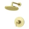 Tenet Shower Only Trim Package With 1.8 GPM Single Function Shower Head -Bathroom Sales Store pfister lg89 7tntbg 7038385