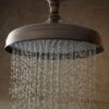 8" Lambert 1.6 GPM Single Function Rain Shower Head -Bathroom Sales Store signature hardware 400064 613520